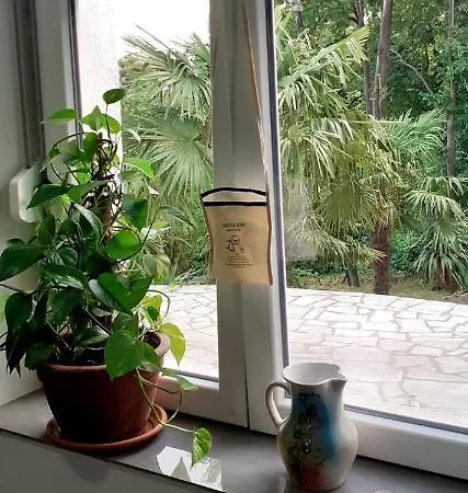 Valbona 1 Apartman *