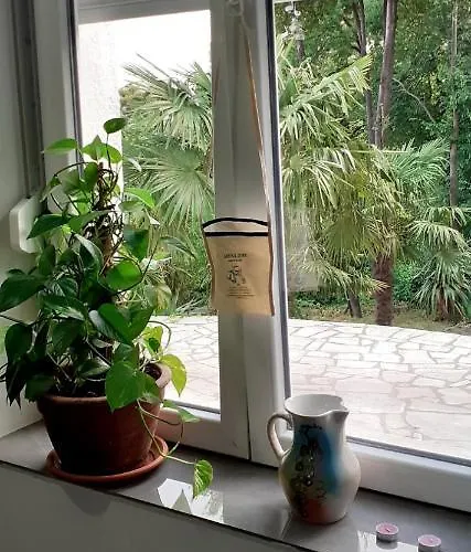 Valbona 1 Apartamento *